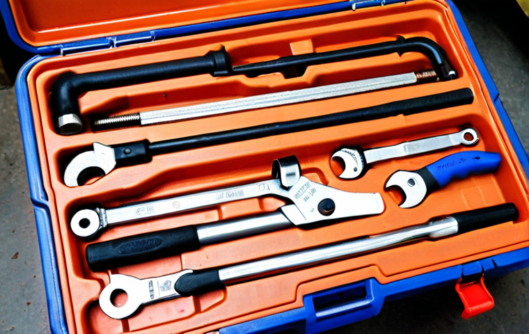 **Image Prompt:** A well-organized toolbox filled with high-quality plumbing tools, including chrome-vanadium wrenches (both adjustable and fixed), a copper pipe cutter, and a PVC pipe cutter. Focus on the quality and ergonomics of the tools. The background should be a typical Italian workshop setting.